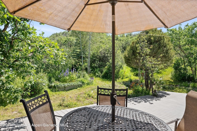 2227 Juniper Hill Rd, Aspen, CO 81611 - photo 15