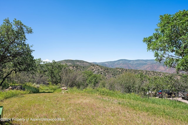 2227 Juniper Hill Rd, Aspen, CO 81611 - photo 17