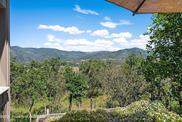 2227 Juniper Hill Rd, Aspen, CO 81611 - photo 16