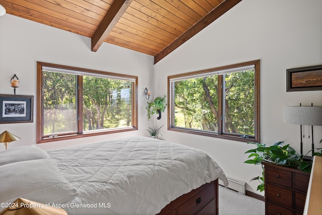 2227 Juniper Hill Rd, Aspen, CO 81611 - photo 12