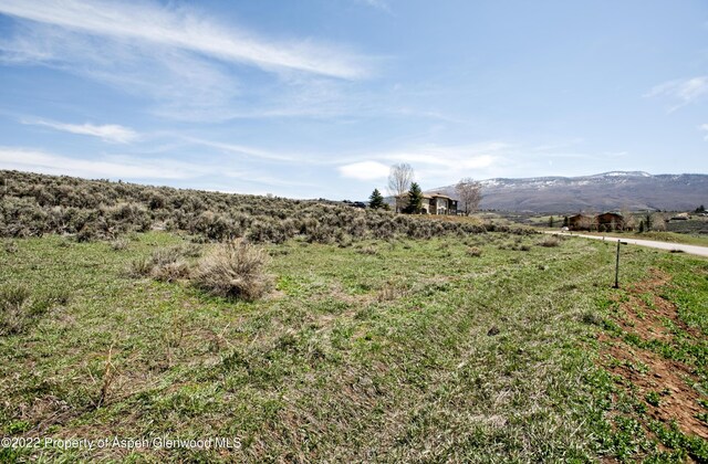 0811 Green Meadow Dr, Carbondale, CO 81623