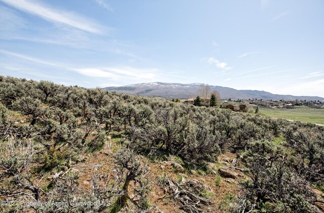 0811 Green Meadow Dr, Carbondale, CO 81623
