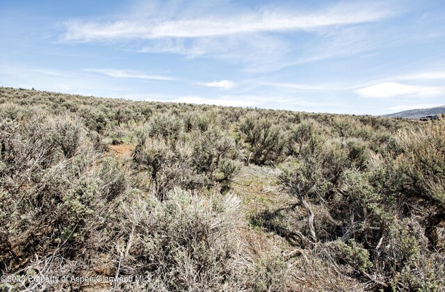 0811 Green Meadow Dr, Carbondale, CO 81623
