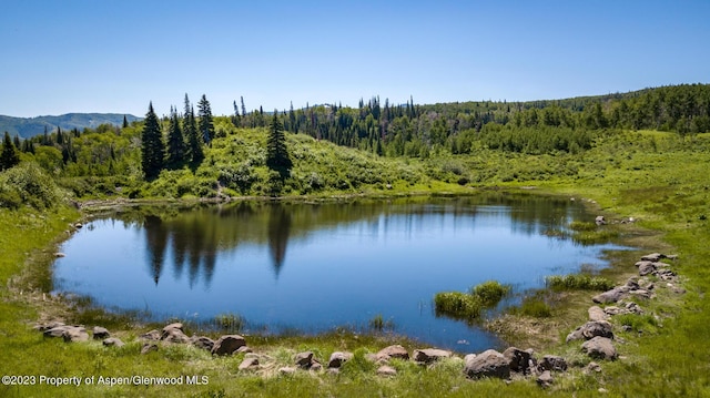 property view of water