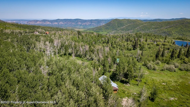 aerial view with a mountain view