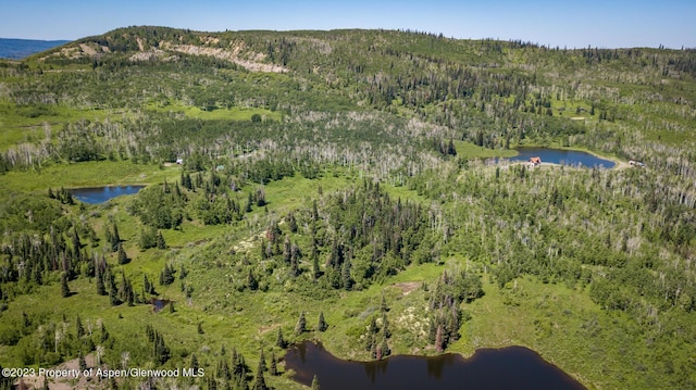 drone / aerial view with a water and mountain view