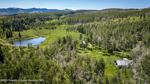 drone / aerial view with a water and mountain view