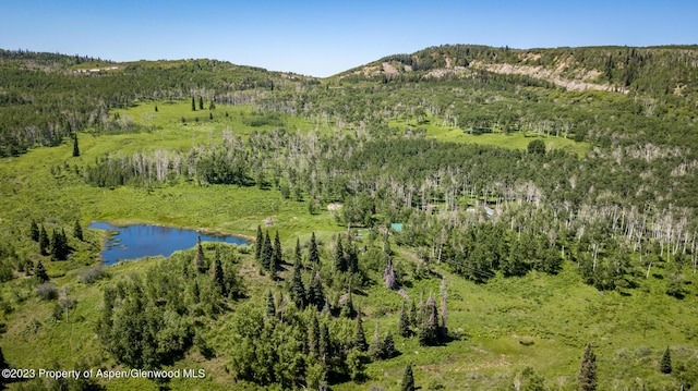 birds eye view of property featuring a water and mountain view