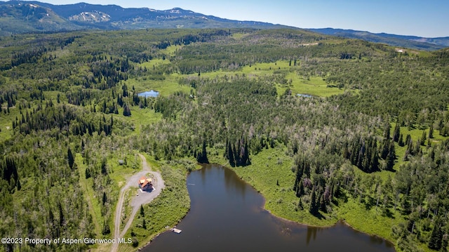 drone / aerial view featuring a water and mountain view