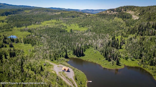 drone / aerial view with a water and mountain view