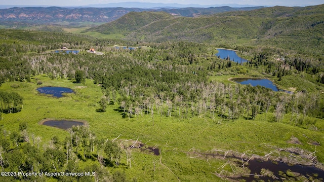 aerial view with a water and mountain view