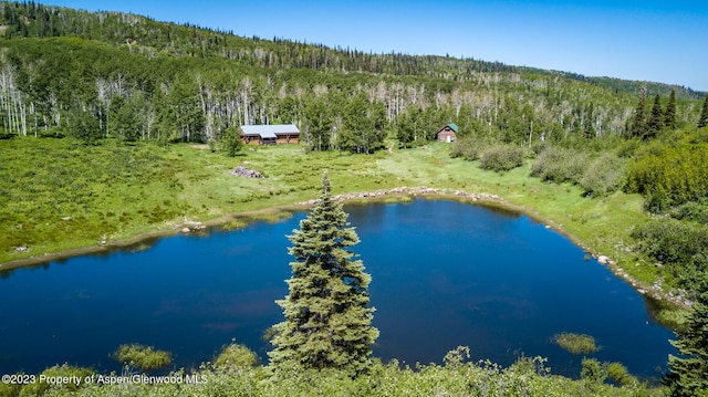 bird's eye view with a water view