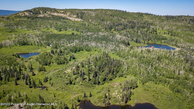 birds eye view of property featuring a water and mountain view