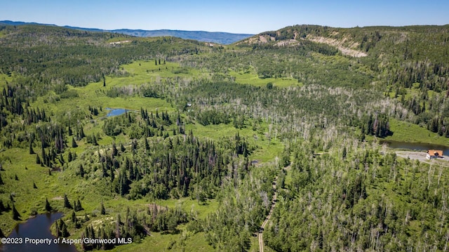 birds eye view of property featuring a water and mountain view