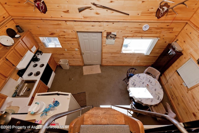 interior space with vaulted ceiling and wood walls