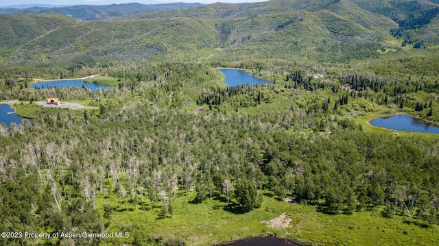 drone / aerial view with a water and mountain view