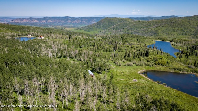 birds eye view of property featuring a water and mountain view