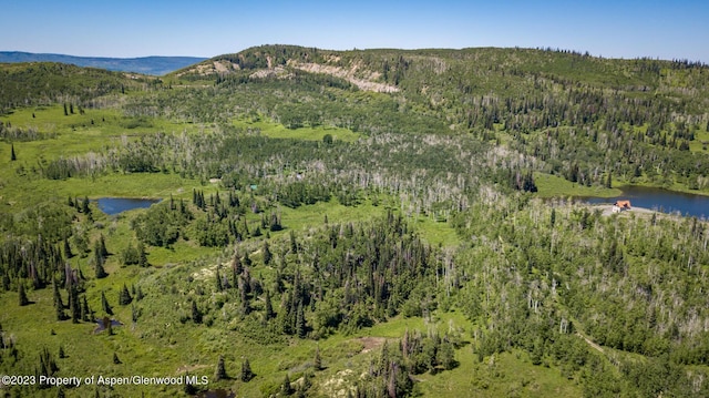 drone / aerial view featuring a water and mountain view