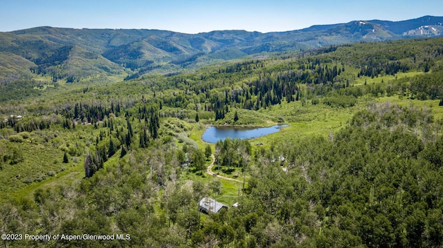 birds eye view of property with a water and mountain view