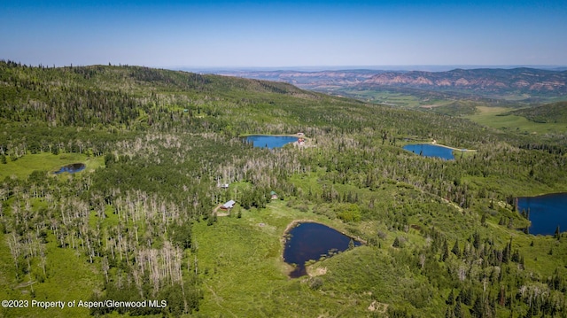 birds eye view of property featuring a water and mountain view