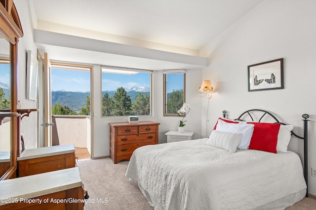 379 Caballo St, Carbondale, CO 81623 - photo 14