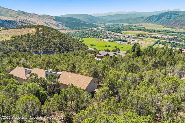 379 Caballo St, Carbondale, CO 81623 - photo 32