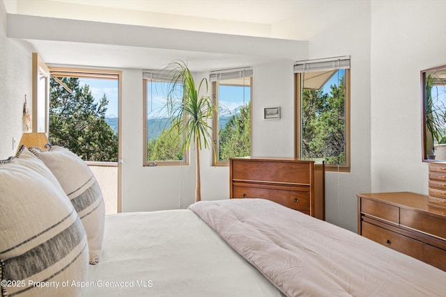 379 Caballo St, Carbondale, CO 81623 - photo 8