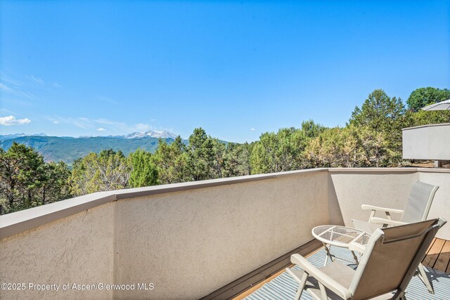 379 Caballo St, Carbondale, CO 81623 - photo 19