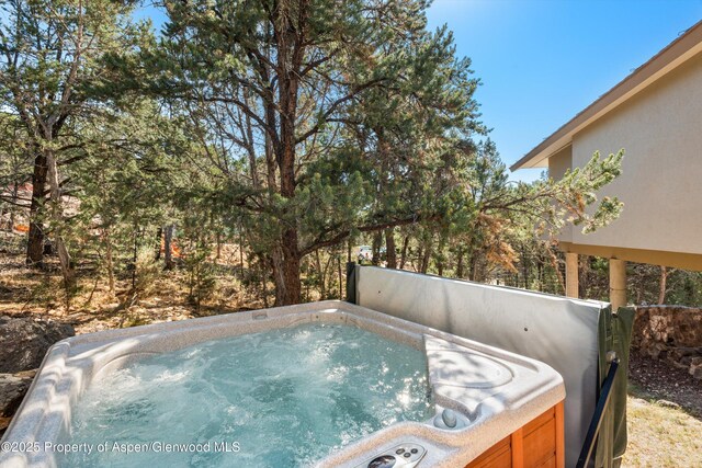 379 Caballo St, Carbondale, CO 81623 - photo 29