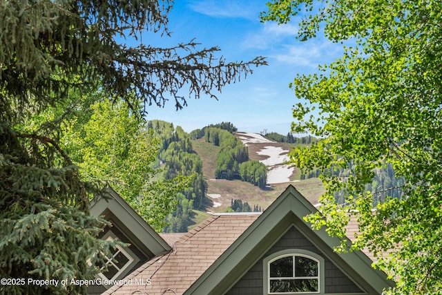 126 W Francis St, Aspen, CO 81611 - exterior view of roof with shingles