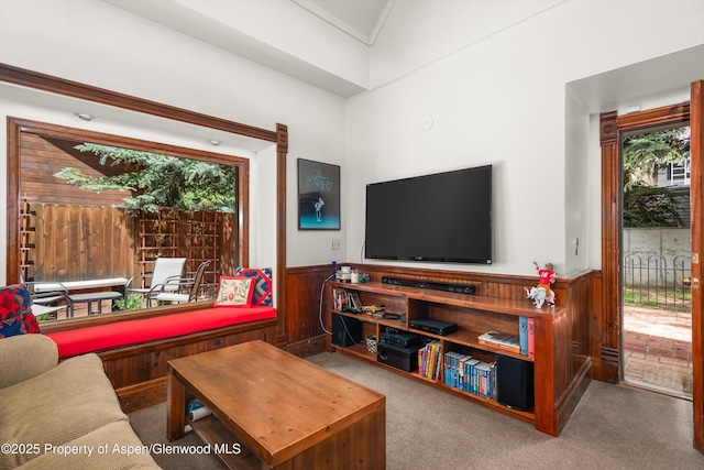 126 W Francis St, Aspen, CO 81611 - living room with a wainscoted wall, carpet floors, wooden walls, and crown molding