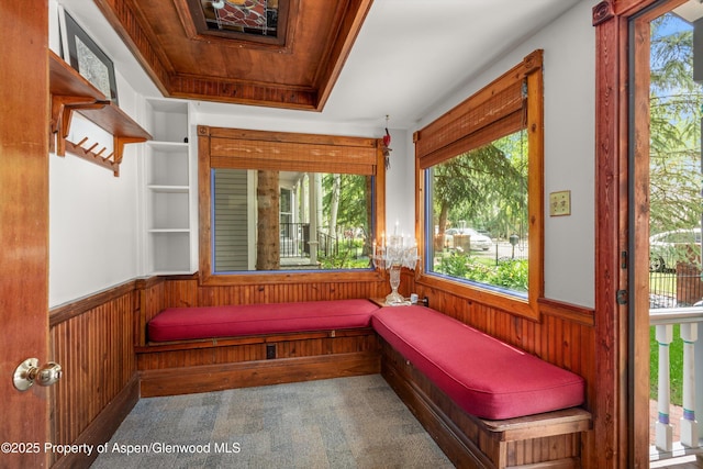 126 W Francis St, Aspen, CO 81611 - view of sunroom
