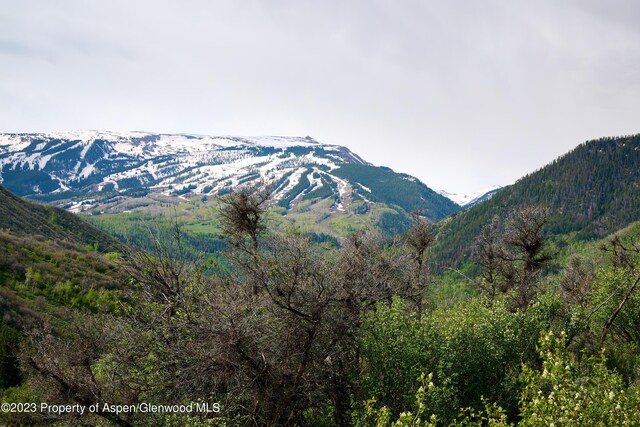 51 Shield O Rd, Snowmass, CO 81654 - photo 18