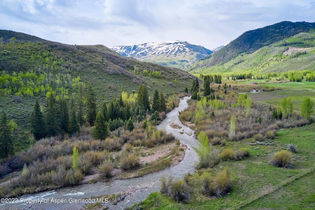 51 Shield O Rd, Snowmass, CO 81654 - photo 9