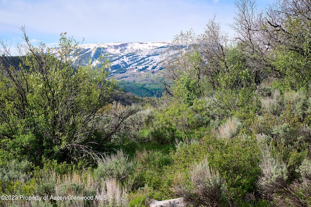 51 Shield O Rd, Snowmass, CO 81654 - photo 13