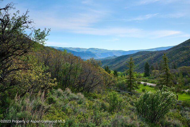 51 Shield O Rd, Snowmass, CO 81654 - photo 6