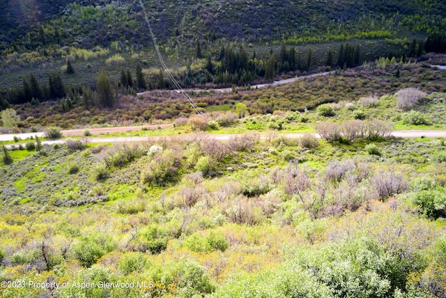 51 Shield O Rd, Snowmass, CO 81654 - photo 23