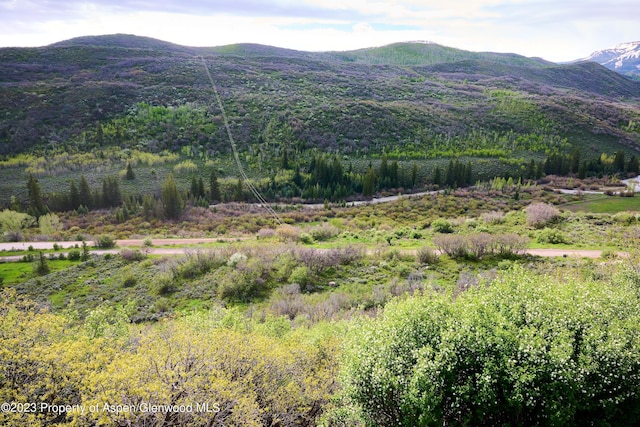 51 Shield O Rd, Snowmass, CO 81654 - photo 17