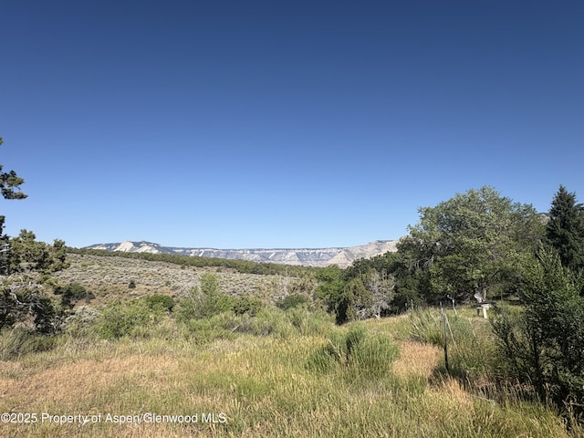 245 County Road 338, Parachute, CO 81635 - view of mountain backdrop