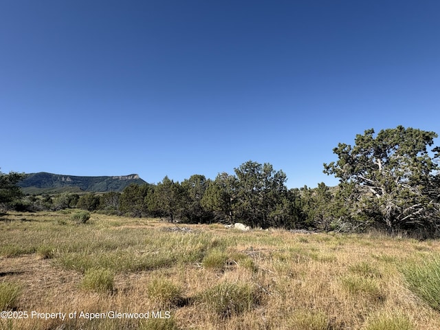 245 County Road 338, Parachute, CO 81635 - view of undeveloped land featuring mountains and rural landscape