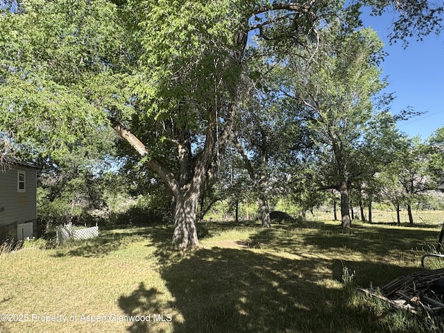245 County Road 338, Parachute, CO 81635 - view of green lawn