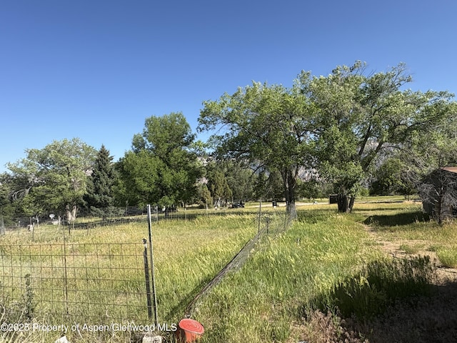 245 County Road 338, Parachute, CO 81635 - view of yard