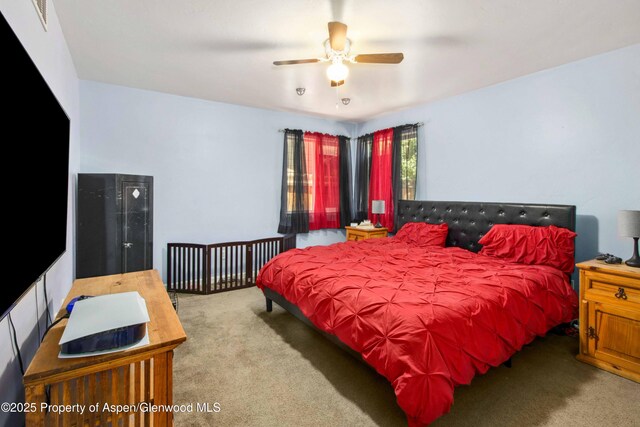 592 Evergreen Rd, Silt, CO 81652 - photo 16