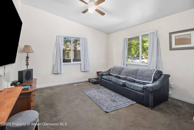 592 Evergreen Rd, Silt, CO 81652 - photo 11