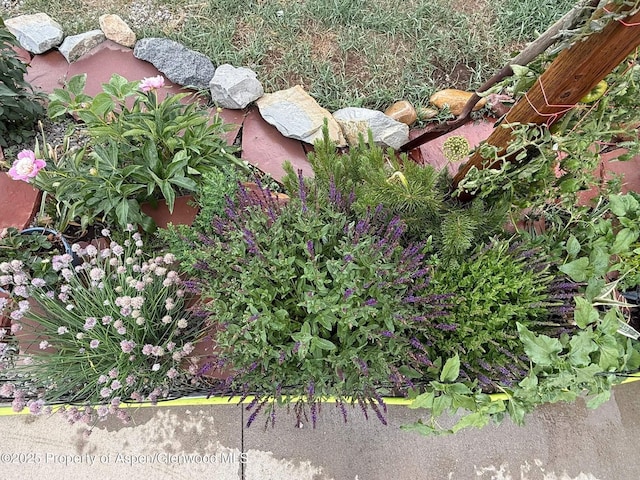 25 W 20th St, Craig, CO 81625 - exterior view