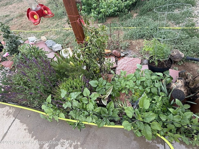 25 W 20th St, Craig, CO 81625 - exterior view