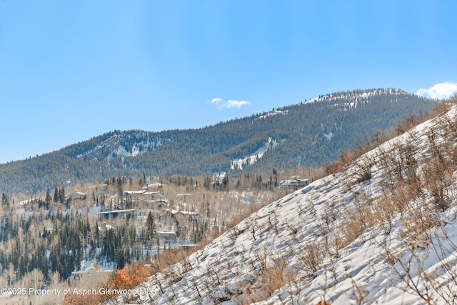 view of mountain feature