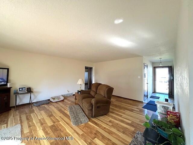 living room with light wood finished floors and baseboards