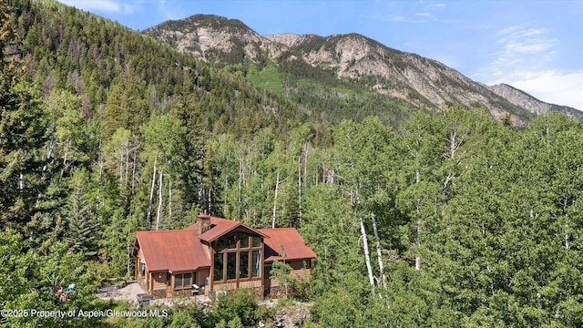 117 Deer Ln, Marble, CO 81623 - view of mountain backdrop with a forest
