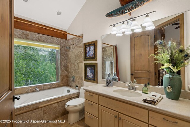 117 Deer Ln, Marble, CO 81623 - full bath featuring vanity, lofted ceiling, and tiled shower / bath combo